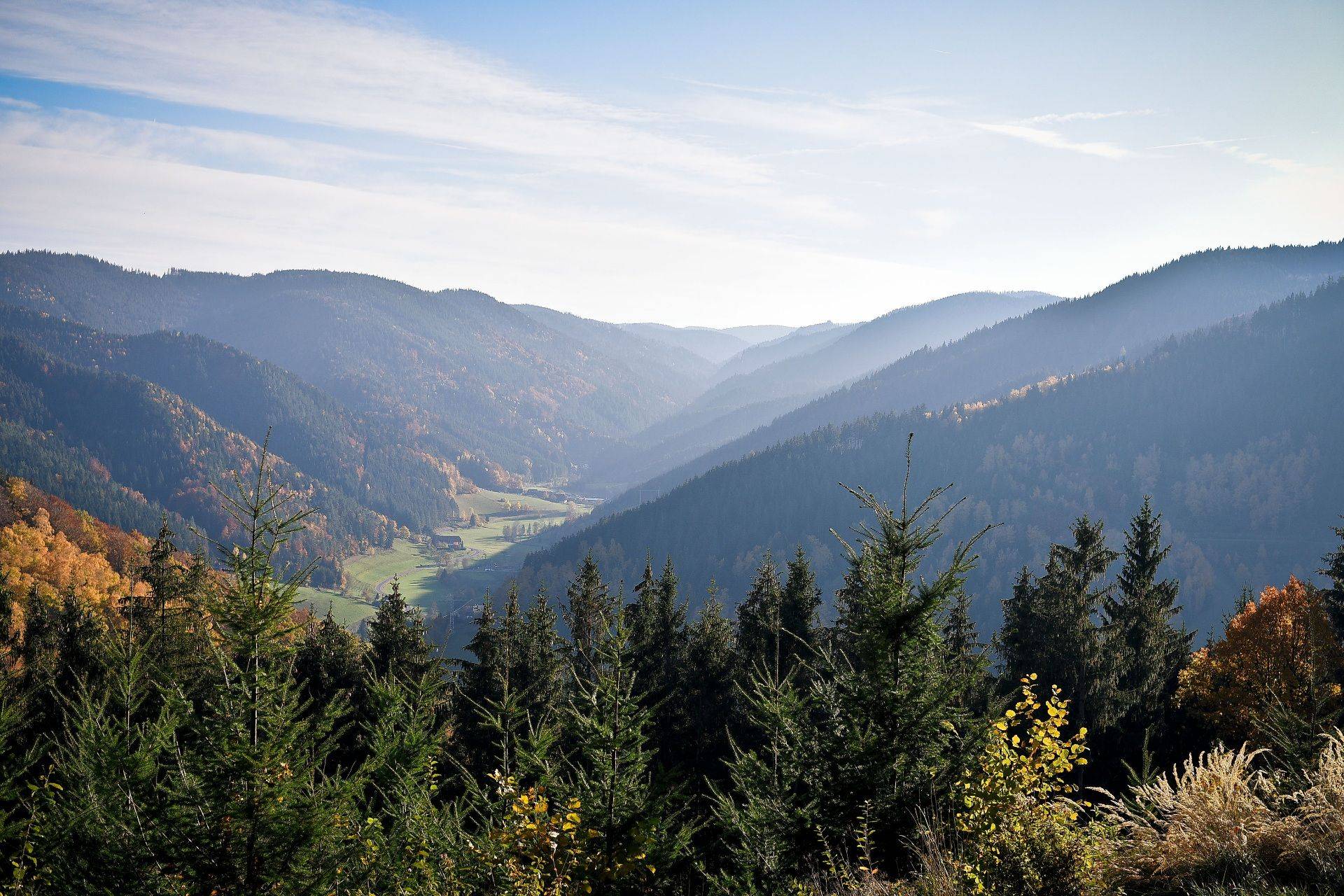 Ein Hintergrundbild mit dem Schwarzwald und einem Tal.